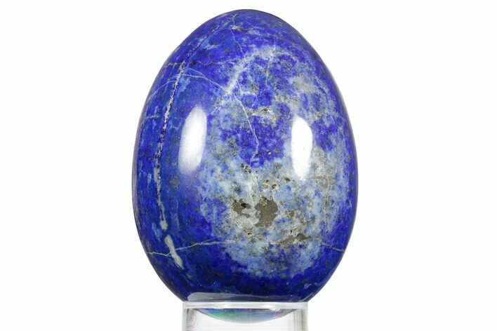 Polished Lapis Lazuli Egg - Pakistan #352511